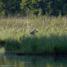 Michael Zager "Crane"